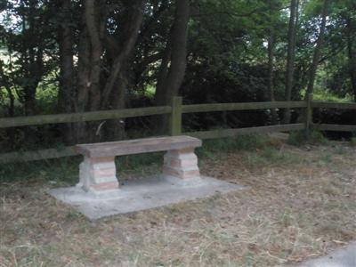 New Bench
